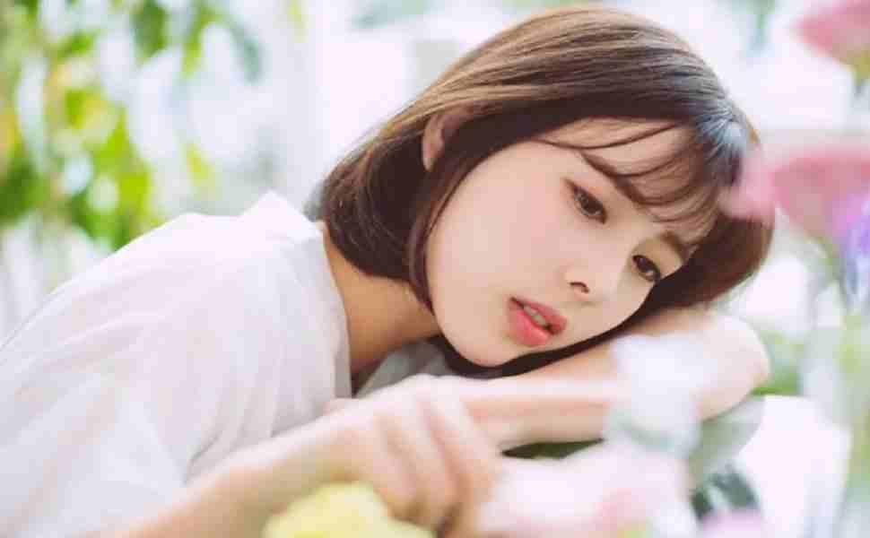 美国做站群 服务器